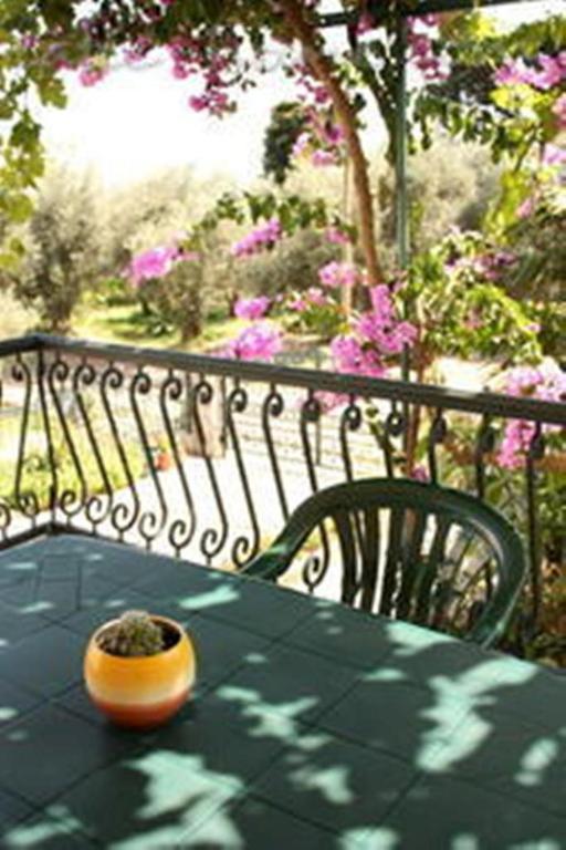 Apartments & Rooms M Petrovac Zewnętrze zdjęcie