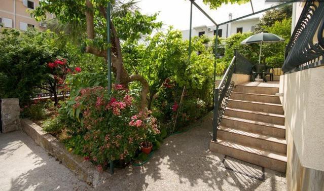 Apartments & Rooms M Petrovac Zewnętrze zdjęcie